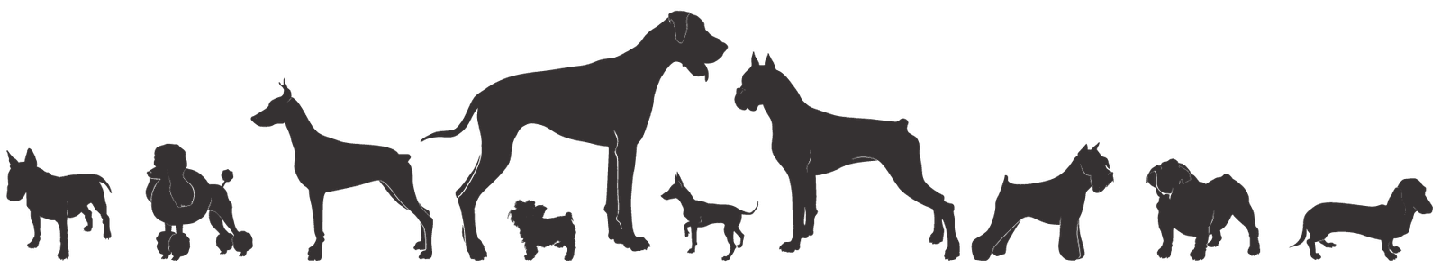 Happy clients with their dogs