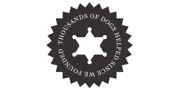 Over Fifteen Years of Experience