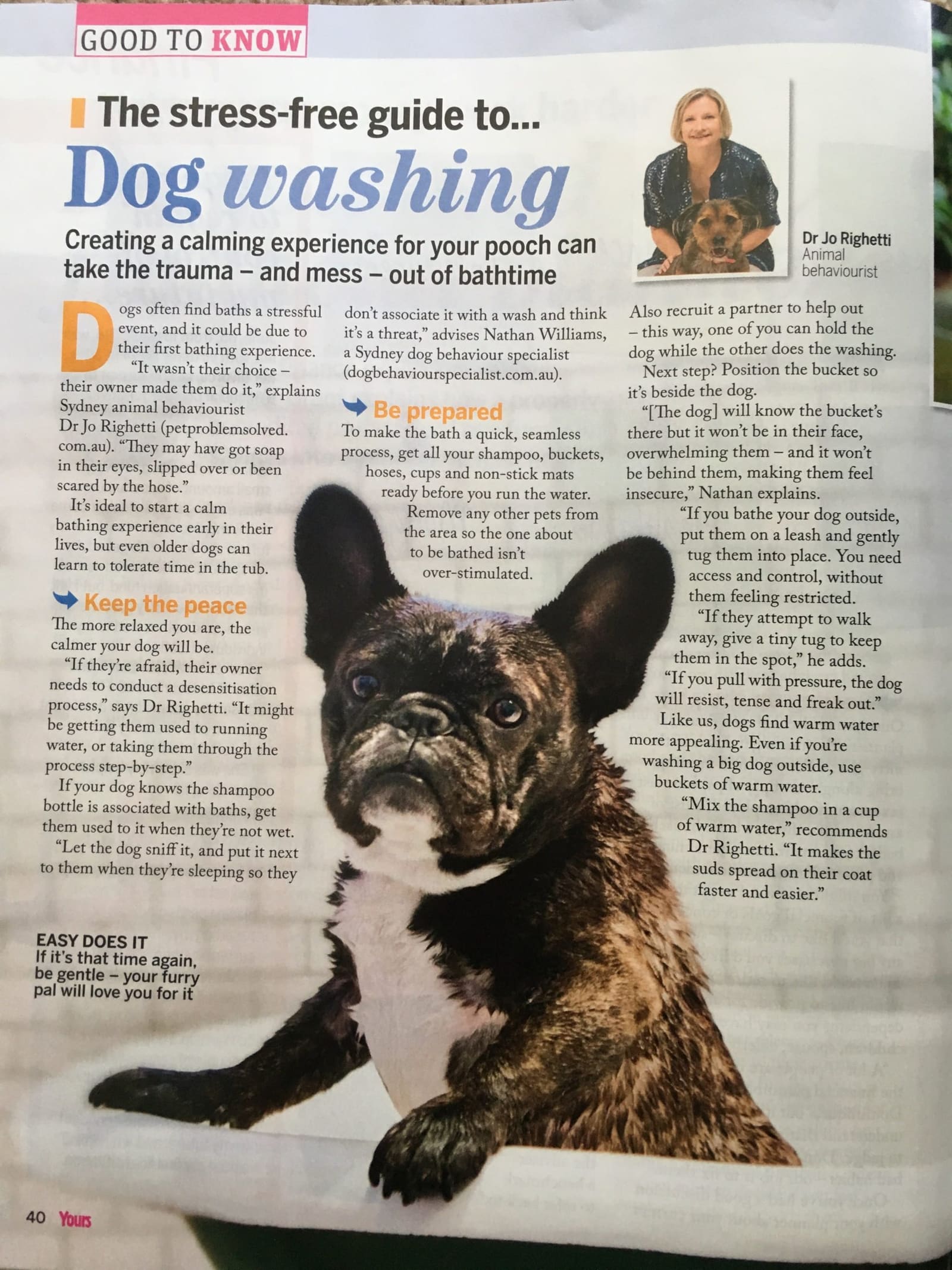 Stress Free Guide to Dog Washing