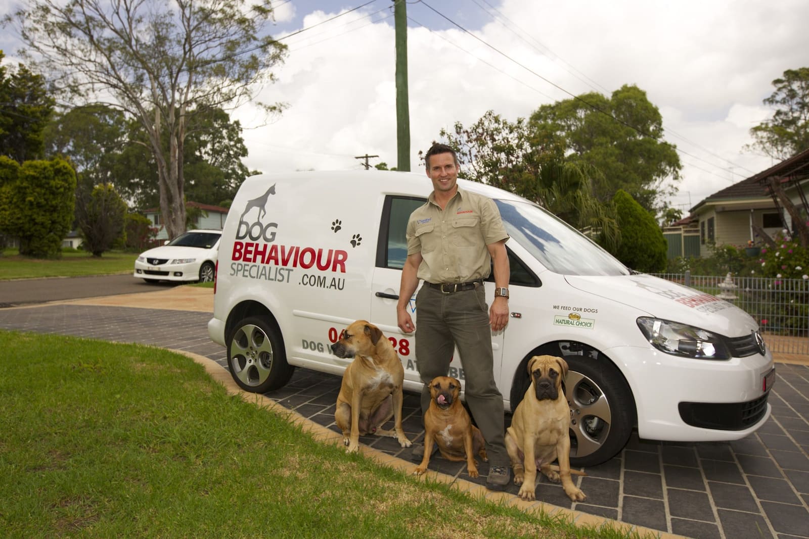 What to ask when looking for Dog Training in Sydney?